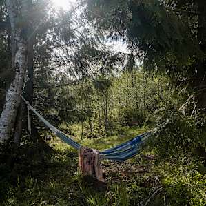 A Hammock to read in
