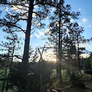 Old Covered Wagon Camp