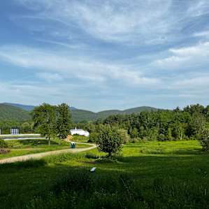View from the yurt.