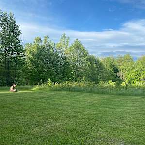 Hidden Meadow on Fieldstone Farm
