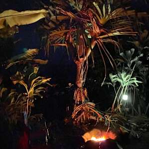 Campfire in the jungle