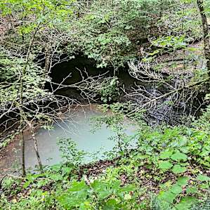 Hillbilly Hippie Hideaway