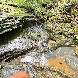 Hillbilly Hippie Hideaway
