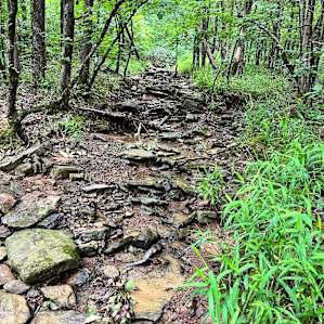 Hillbilly Hippie Hideaway