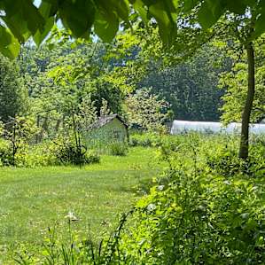 The gardens are magic.