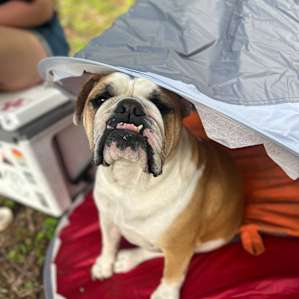 Backcountry Camping