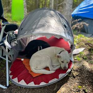 Camping can be ruff