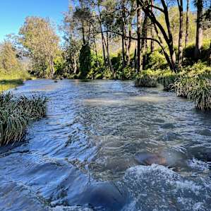 Creekside Camping