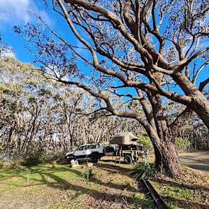 Blue Mountains - Grass Tree Camp