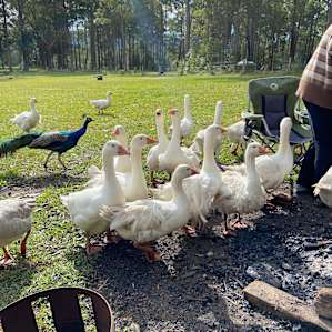 Coffs Harbour Camping & 4WD