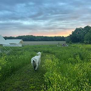 Dry Creek Post Group Glamping