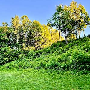 Barren River Magic Tent Camping