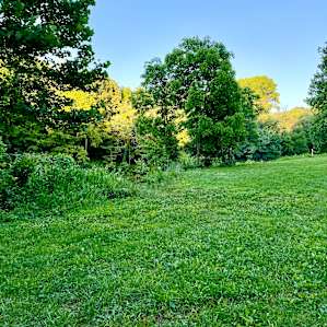 Barren River Magic Tent Camping