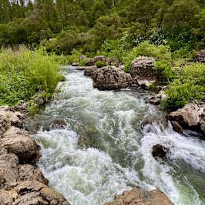 Private River Oasis