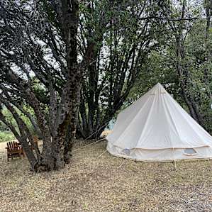 Super convenient camping spot. Port spot is close enough to get to but not too close to smell it.