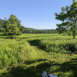 Peace and Quiet Along the River!
