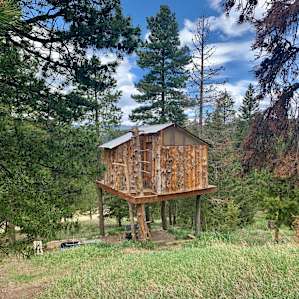 Gold Nugget Tree House