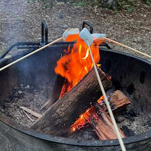 Tent / Small RV Sites