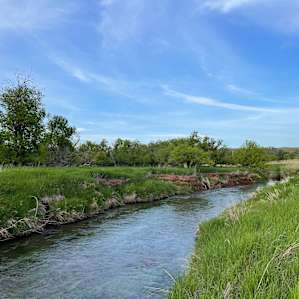 Redwater Revival Campground