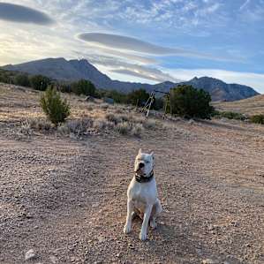 Wandering Star Ranch