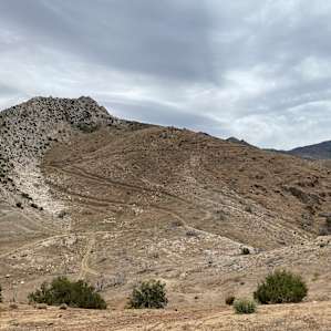 Wandering Star Ranch
