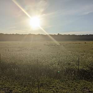 The sun was amazing over this landscape.