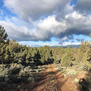 Walking around the property