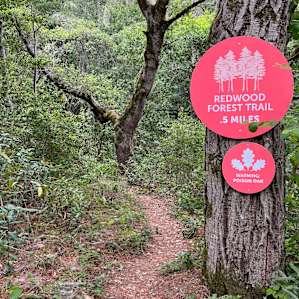 Entrance to hiking trails behind site 3