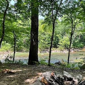 View of the creek from our site. Nothing like falling asleep here.