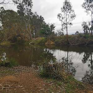 King River