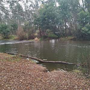 Along the river in the campground.