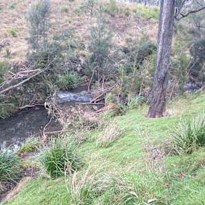 The Waterhole