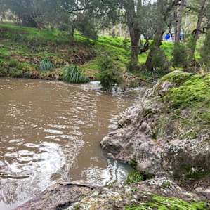The Waterhole
