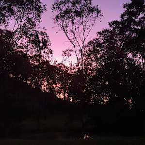 Camp Canungra