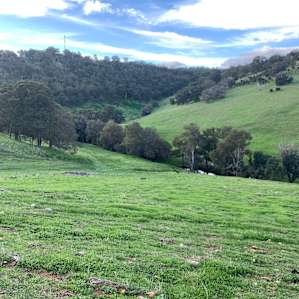 Sheep Gully