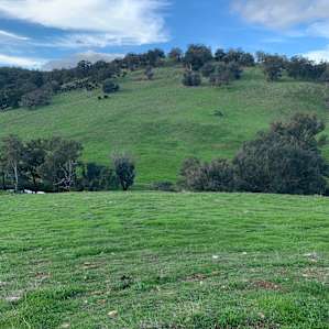 Sheep Gully