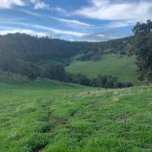 Sheep Gully