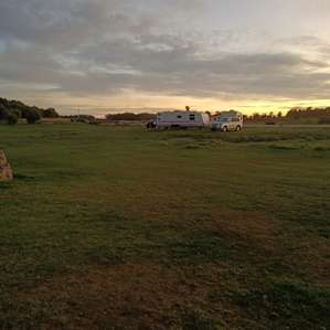 Lake Preston Lime Paddock