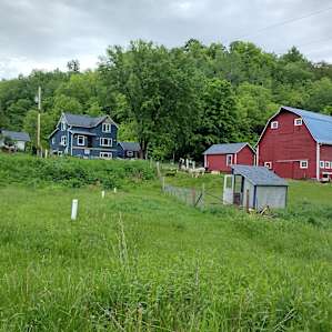 A view from our campsite of the farm