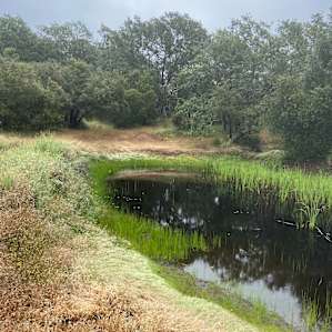 a pond down one of the trails