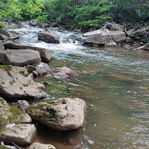 Abrams Creek Campground