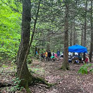 Abrams Creek Campground