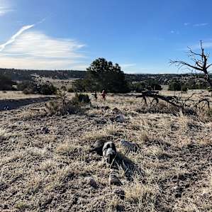 High Desert Magic