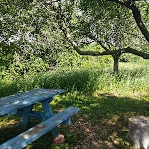 Hammock Haven Campsite