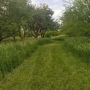 Hammock Haven Campsite