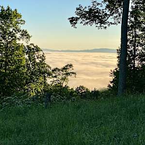 On top of the world in NW NC /Fog