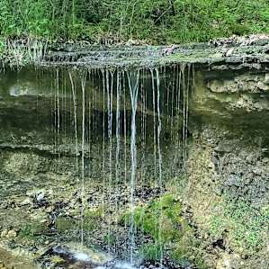 Hagood Farms and Trails