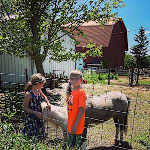 The kids loved feeding the ponies!