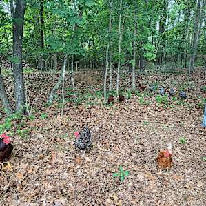 Aleborne Acres