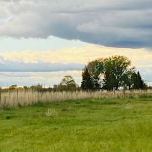 High Desert Pasture